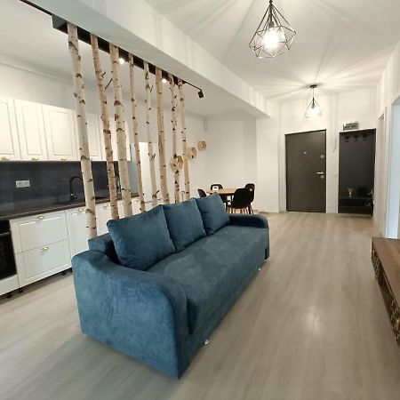 Апартаменти Apartament Cochet Cu Design Modern Флорешть Екстер'єр фото